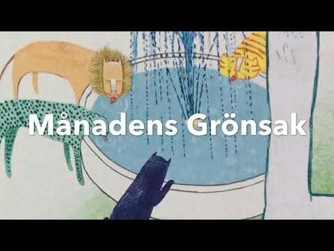Månadens grönsak Mr Blomkål