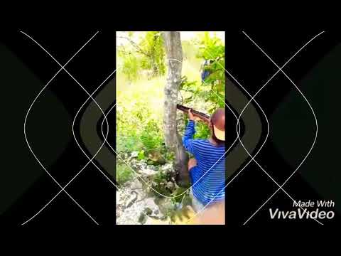 Team PEMBURU JALUR KIRI (Berburu biawak garangan )