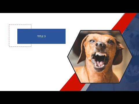 Product Intro Slide Design Tutorial - PowerPoint 2019