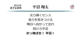 埼玉西武ライオンズ 平沼翔太 応援歌 [MIDI]