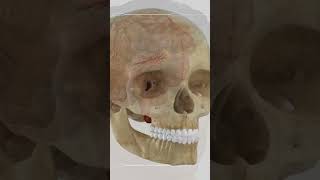 SENNA'S FATAL ACCIDENT RECREATED IN 3D. ALL HIDDEN TRUTH #senna #f1