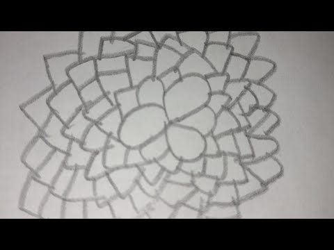 Drawing A Flower