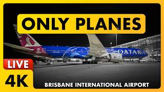 🔴 LIVE WET Sunday Sesh Plane Spotting @ Brisbane Airport w/ Matty + ATC | Brisbane, Australia 🇦🇺✈️