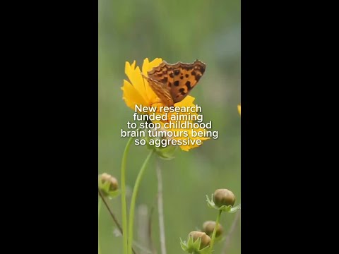 Exciting new research