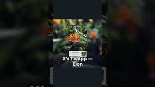 Tech Roundup: Motorola, Vivo, Apple, NPCI, Open A#techupdates