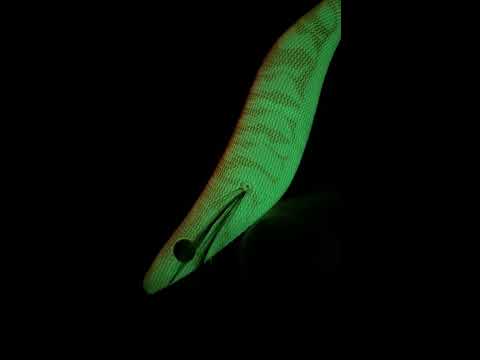 Test on the Dark  EGISTA Tsuriken #3.5 Glow Orange