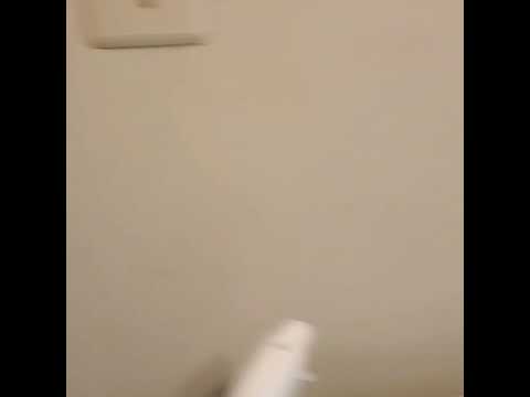 Carpet cleaning with rotovac