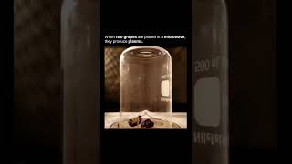I Put Two Grapes in a Microwave… and This Happened! ⚡🔥 (Plasma Explained)