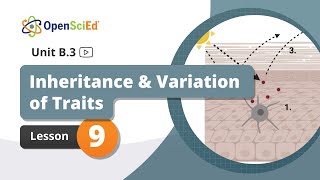 Unit B.3 Lesson 9 Planning Video | OpenSciEd On-Demand Resources