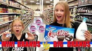 Mini Brands Vs Big Brands Challenge!!! - Magic Box