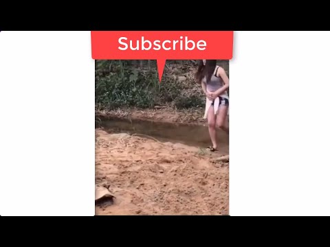 BEST Funny video in 2017 Funny Moments Funny videos