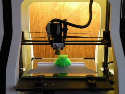 SDSC Education - Robo 3D Printer Timelapse: Printing Yoda