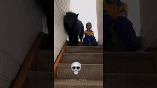 Guard Dogs 💀