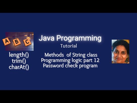 Lesson 61   Strings -  Part 3 - Password Validity Check Program -  Programming Logic Part -12