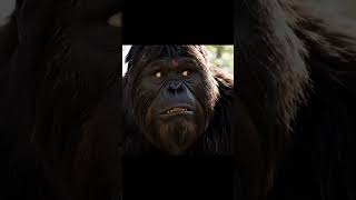 Bigfoot Vlog Using AI Video Generator – This Is Next-Level AI!