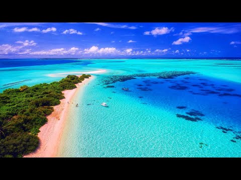 30 Minutes Deep Healing Music for The Body & Soul - Relaxing Music, Meditation Music, Inner Peace