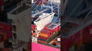 Docker Revolutionizes App Deployment