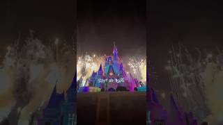 2025 New Year Fireworks at Magic Kingdom #disneyworld #disney #newyear #fireworks #2025