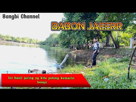 Jaring Horden memakan korban dapat Jaer babon di setu babakan.