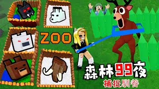 森林里99夜：捕捉并喂养，几只森林动物！……99 Nights in the Forest🔦  | ROBLOX
