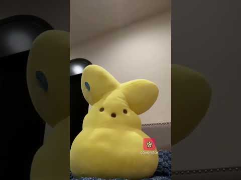 Peep is the alpha lol✨
