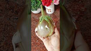 Traditional Bihari Roast for Litti Chokha! 😍🥘 | You will be left licking your fingers!