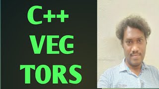 vectors;stl components