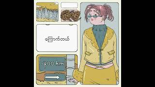 CC - Happy Hour