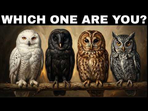 Choose an owl A psychological test that reveals your inner path | Carl Jung