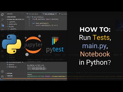 HOW TO: Run Tests, main.py and Notebook in Python | NO IMPORT ERRORS