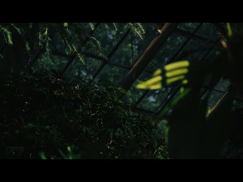 Artem Ramanau. Izzamuzzic - Breathe Again