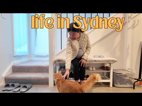 My ordinary life in Sydney | introvert working 9-5 | Vlog 019