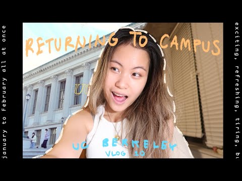 What I Took for Granted Before the Pandemic || day in the life at UC Berkeley || vlog 010