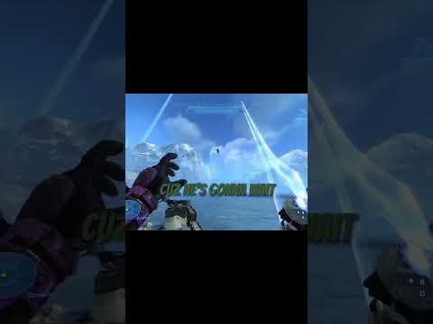 Splat #funnyhaloclips #halo #gaming #funny #twitch