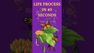 🧬 Life Processes in 40 Seconds! | Class 10 Science Quick Recap  #biology