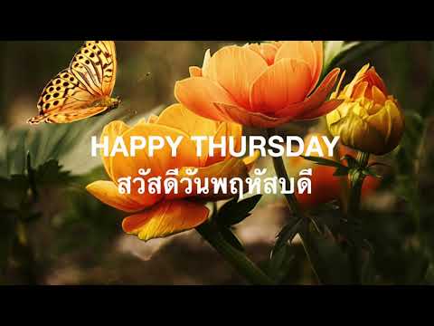 สวัสดีวันพฤหัส เมื่อเปิดเพลงนี้ ขอให้ทุกคนมีความสุข มีพลัง อุปสรรคทั้งหลายจงหมดไป