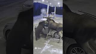 #Sora2#SoraAI#SoraCinematic