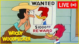 LIVE 🔴 Woody IS WANTED By The Sheriff💰+ MORE Episodes of Classic Woody Woodpecker Lantz Cartunes