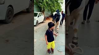 Pala howa Bachra #bakraeid #shorts #shortsfeed #sibbi #bull #follow #height #beautyful #animals #cow