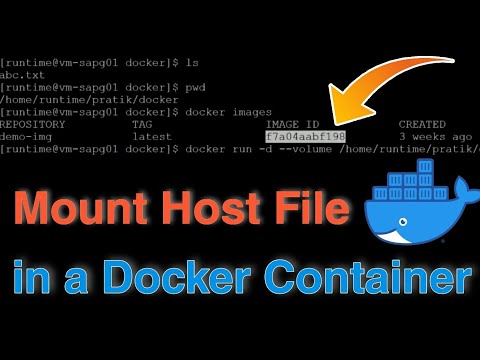 How To Mount a Host Files in a Docker Container?