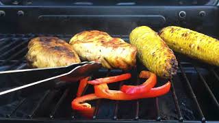 SHOP 'n SAVE Grill Master