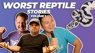 Wildest Reptile Stories | Rodents, Shows, Scarface | #ballpython #snake #reptiles