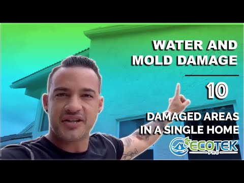 Water and Mold Damage | 10 Damaged Area In a Single Home