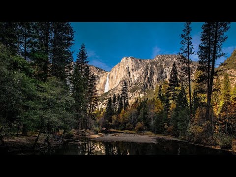 Relaxing Music, Meditation Music, Sleeping Music, Yoga Music, Spa Music ☯001 I Pete Miani MD DO