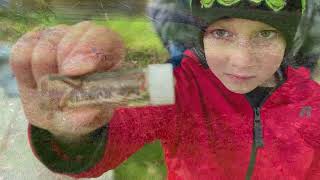 Blue Bridge Agile Learning Center  2022 Groundswell Project Showcase Video