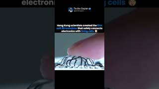 Hong Kong Scientists Create World’s First Soft 3D Chip That Connects With Human Cells 🤯