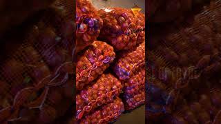 Erode Wholesale Onion Market✨ | Voice of Erode🔥