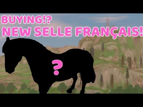 *BUYING* THE NEW SELLE FRANÇAIS HORSE!
