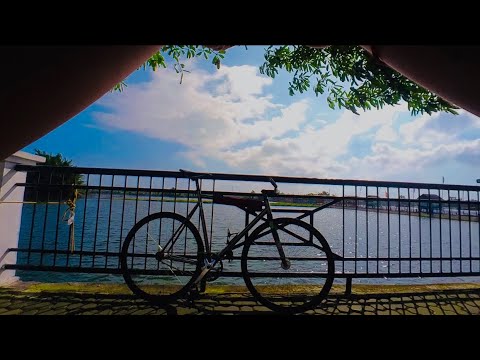FIXED GEAR #6 POV TRAFFIC WIDE BARS (INSTA360 GO2) SOLO RIDE ✅⚙️📸