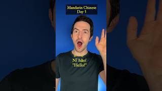 The Chinese Language Learning Process